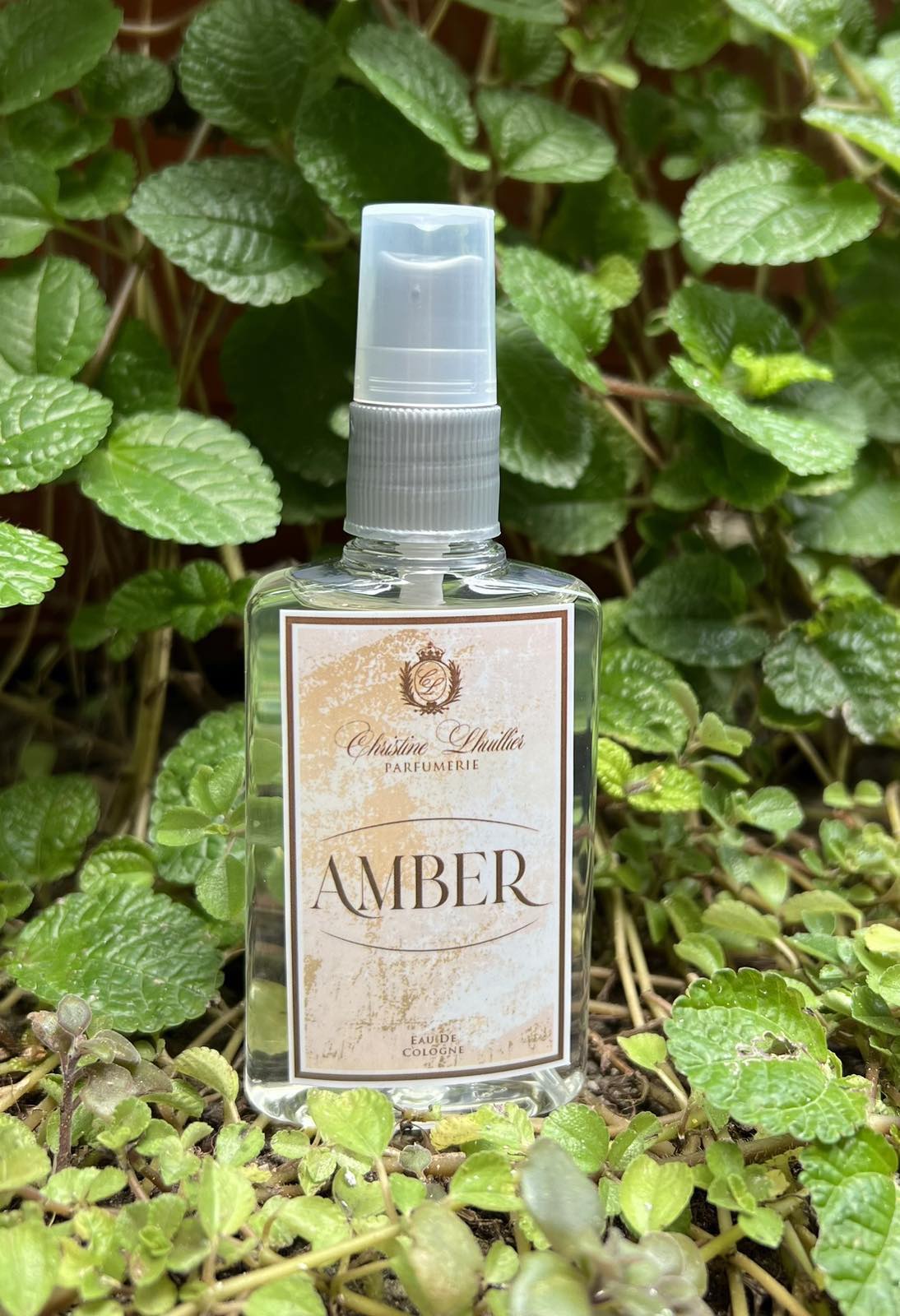 Eau de Cologne Amber