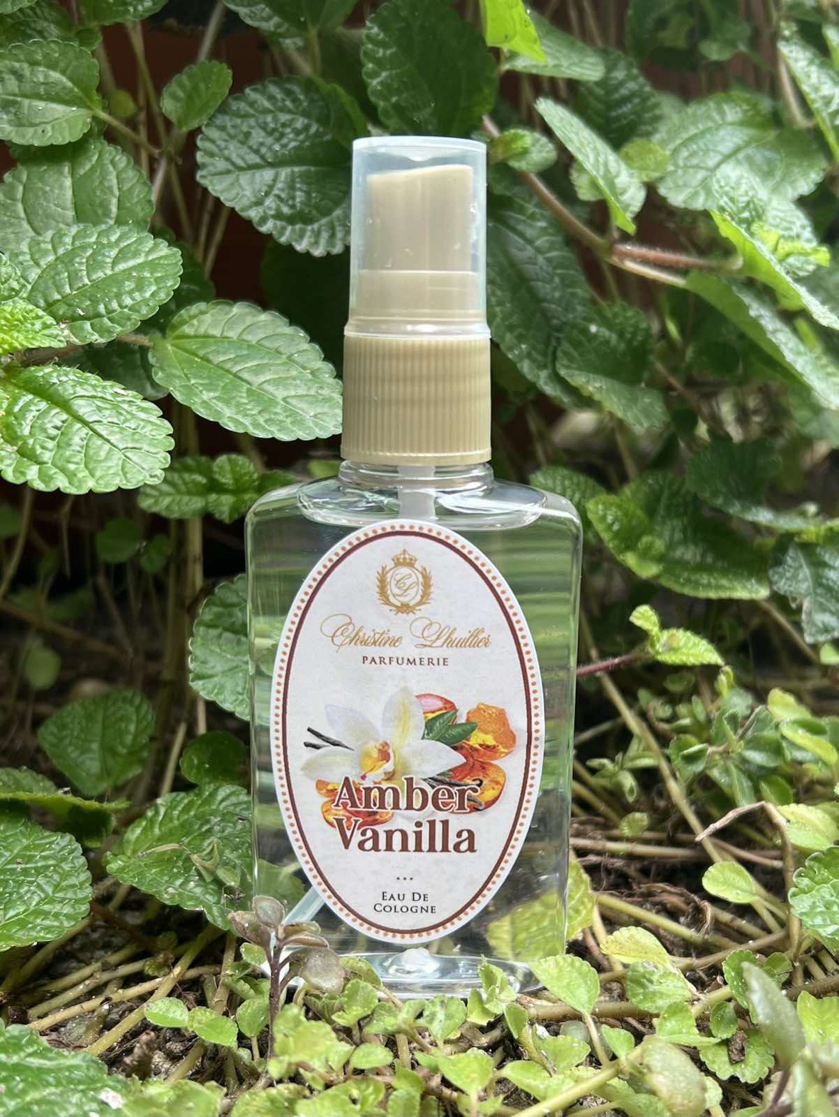 Eau de Cologne Amber Vanilla