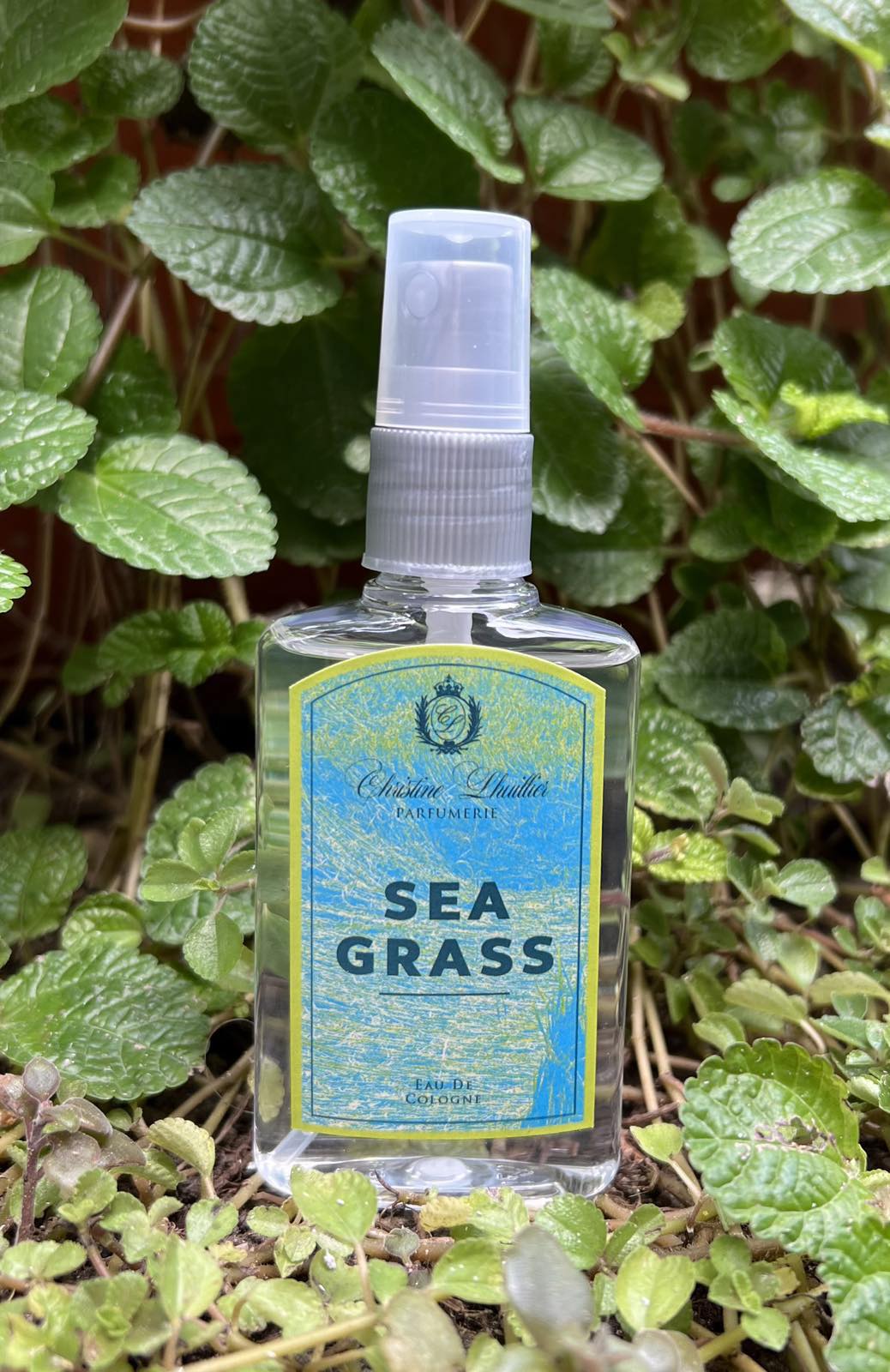 Eau de Cologne Sea Grass