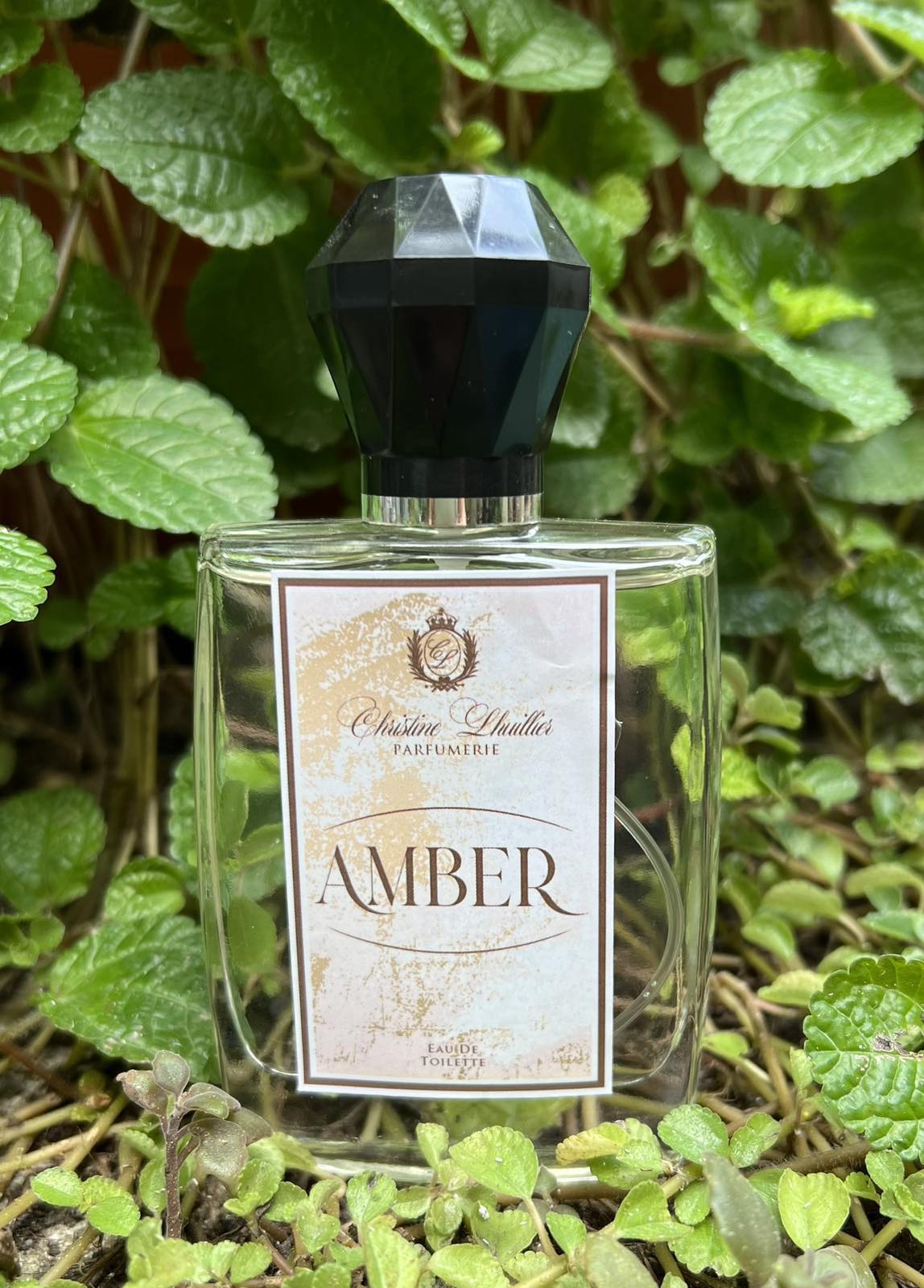 Eau de Toilette Amber