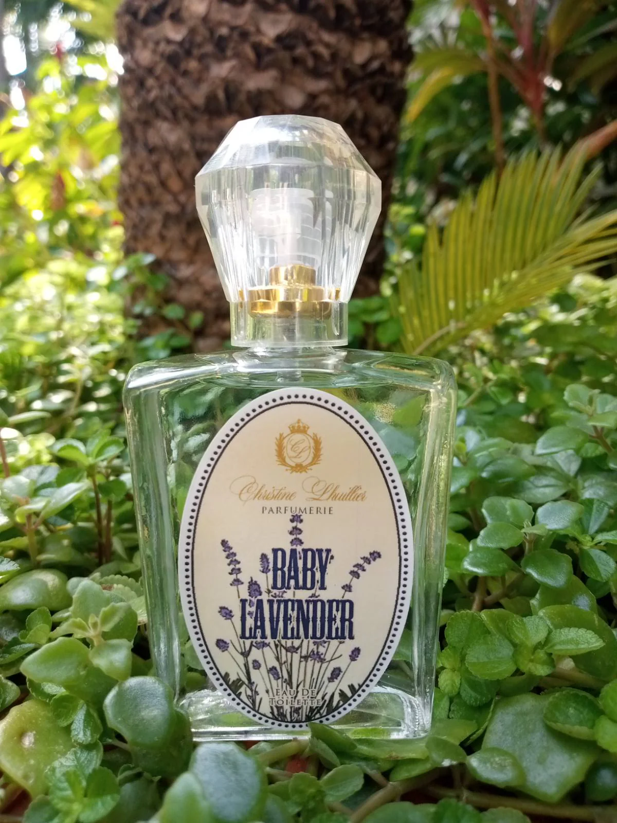 Eau de Toilette Baby Lavender