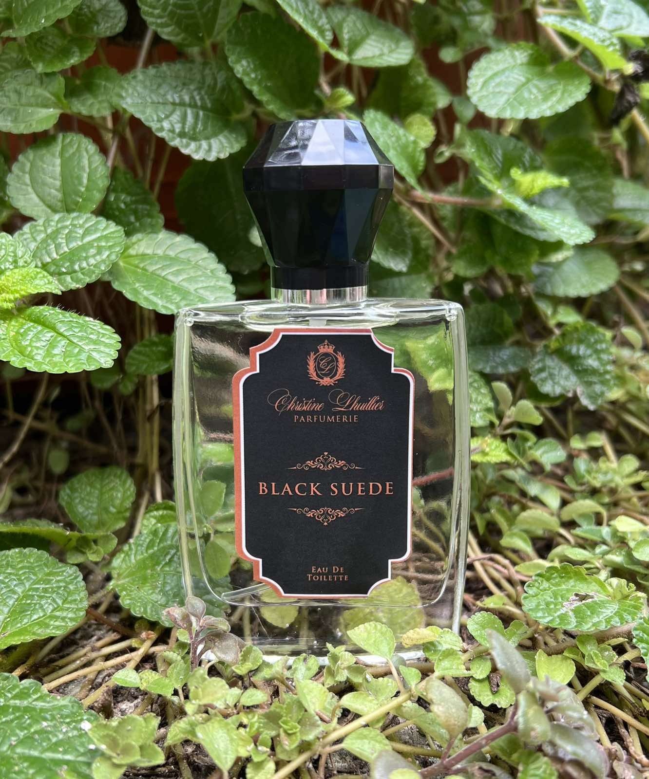 Eau de Toilette Black Suede