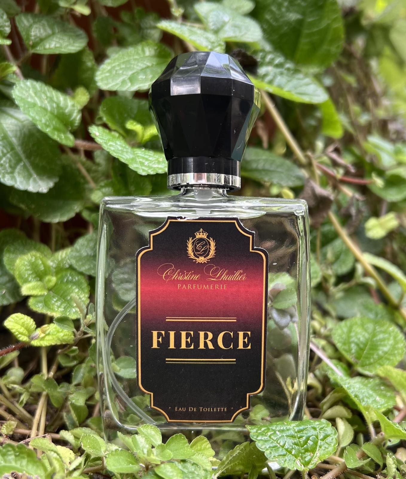 Eau de Toilette Fierce