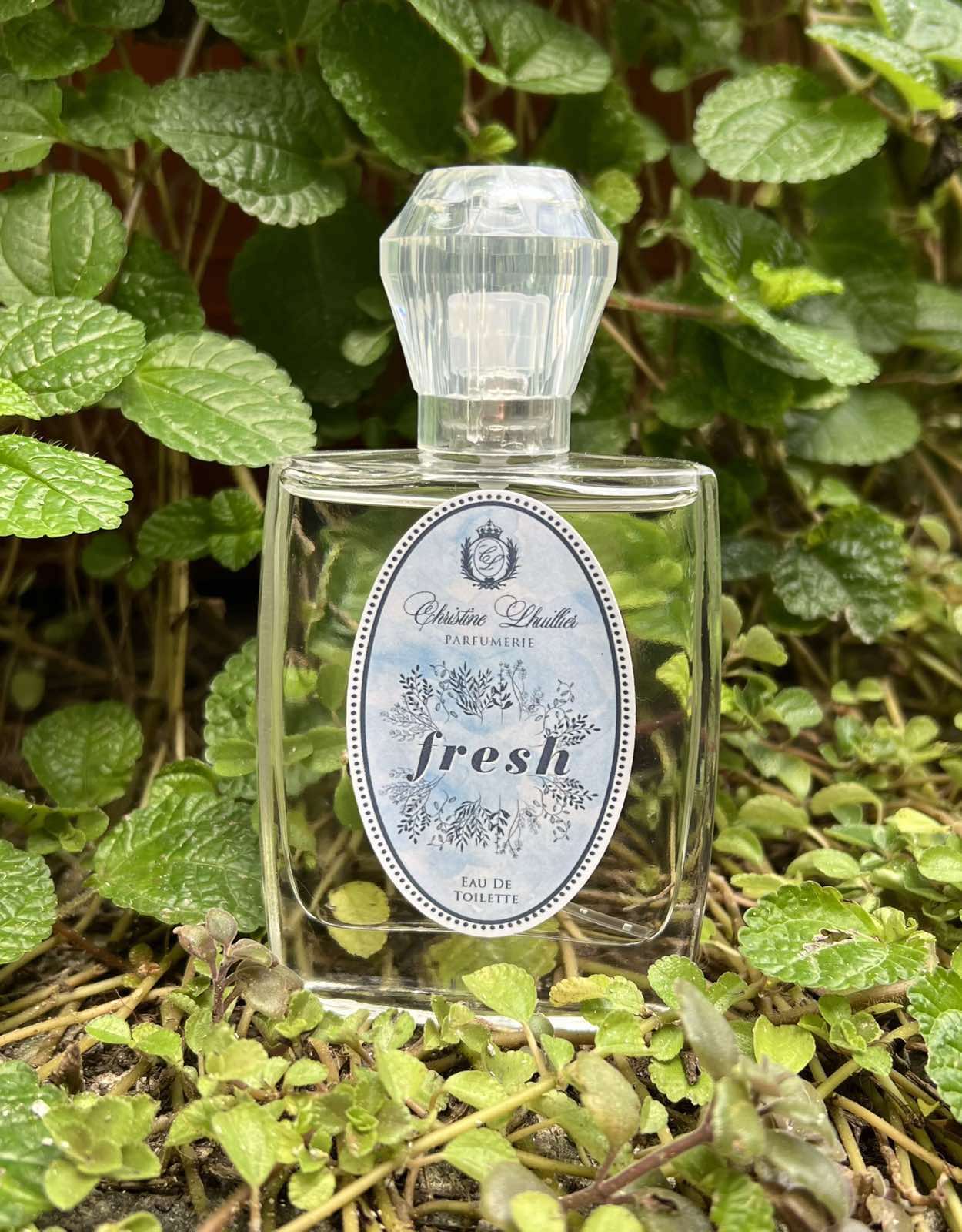 Eau de Toilette Fresh