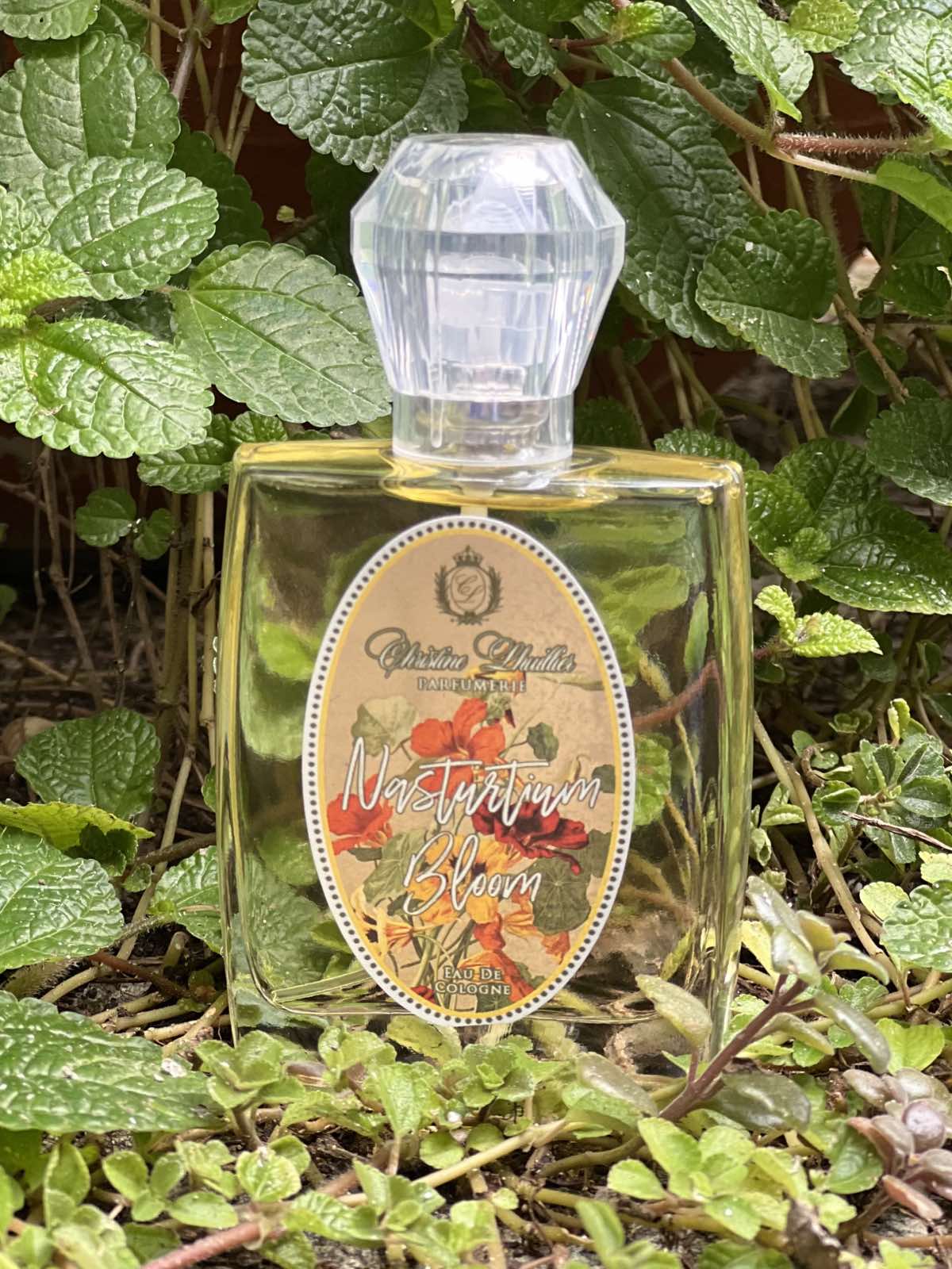 Eau de Toilette Nasturtium Bloom