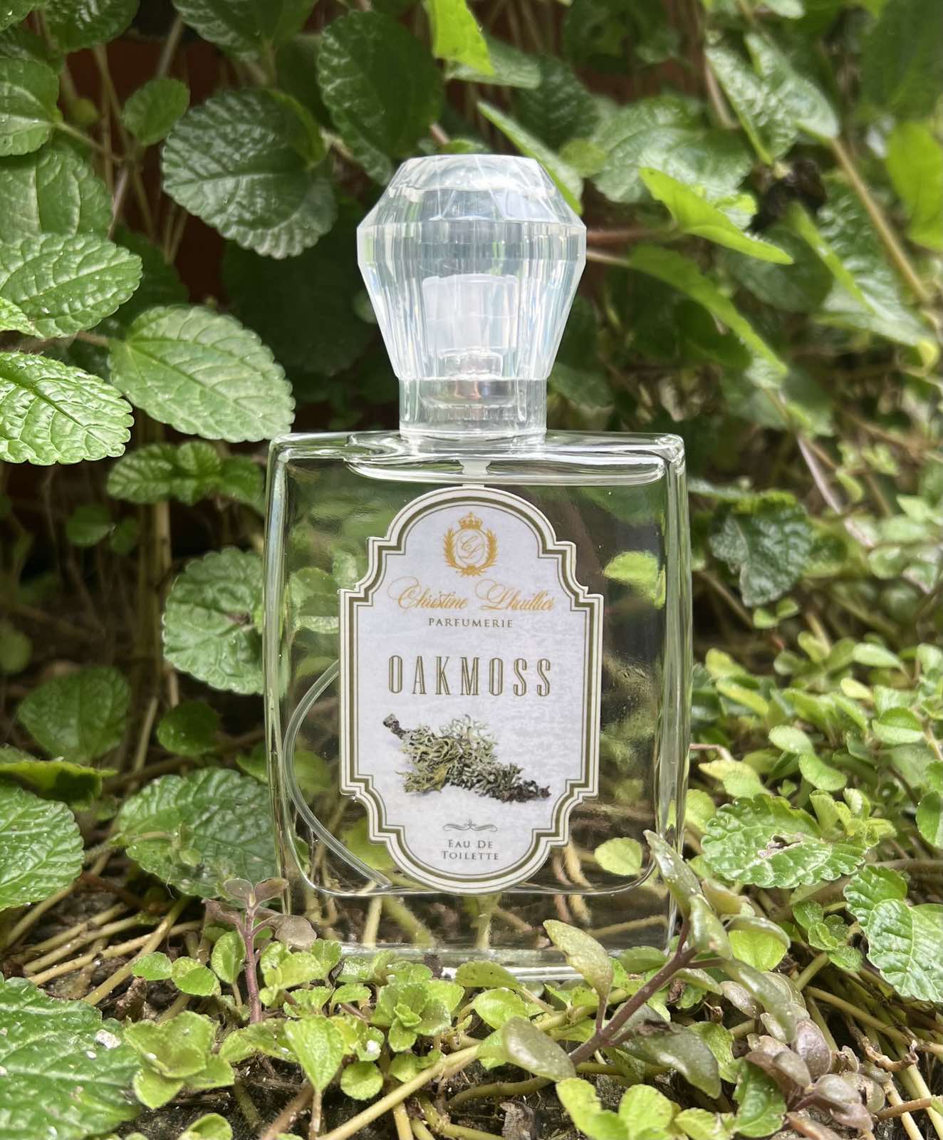 Eau de Toilette Oakmoss