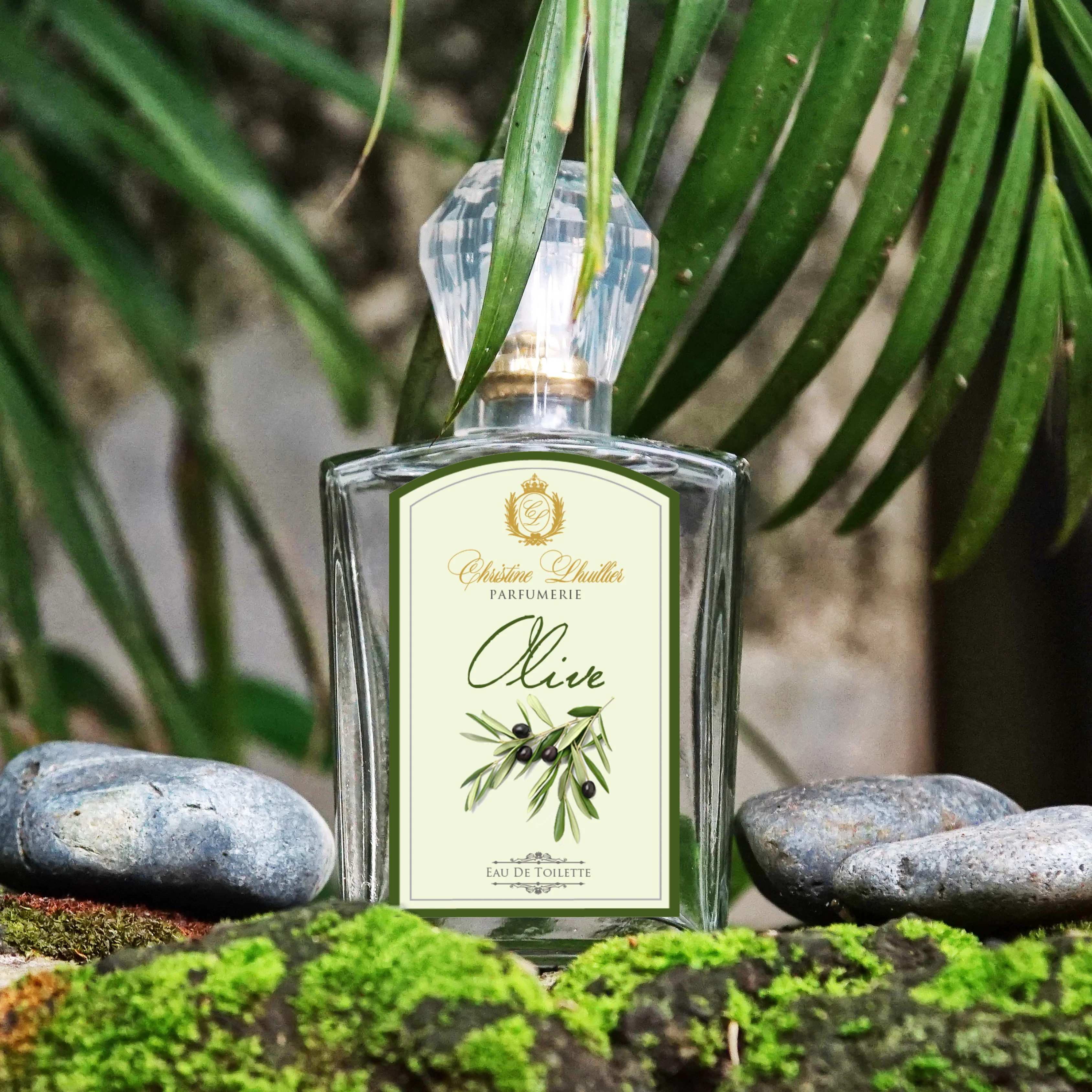 Eau de Toilette Olive
