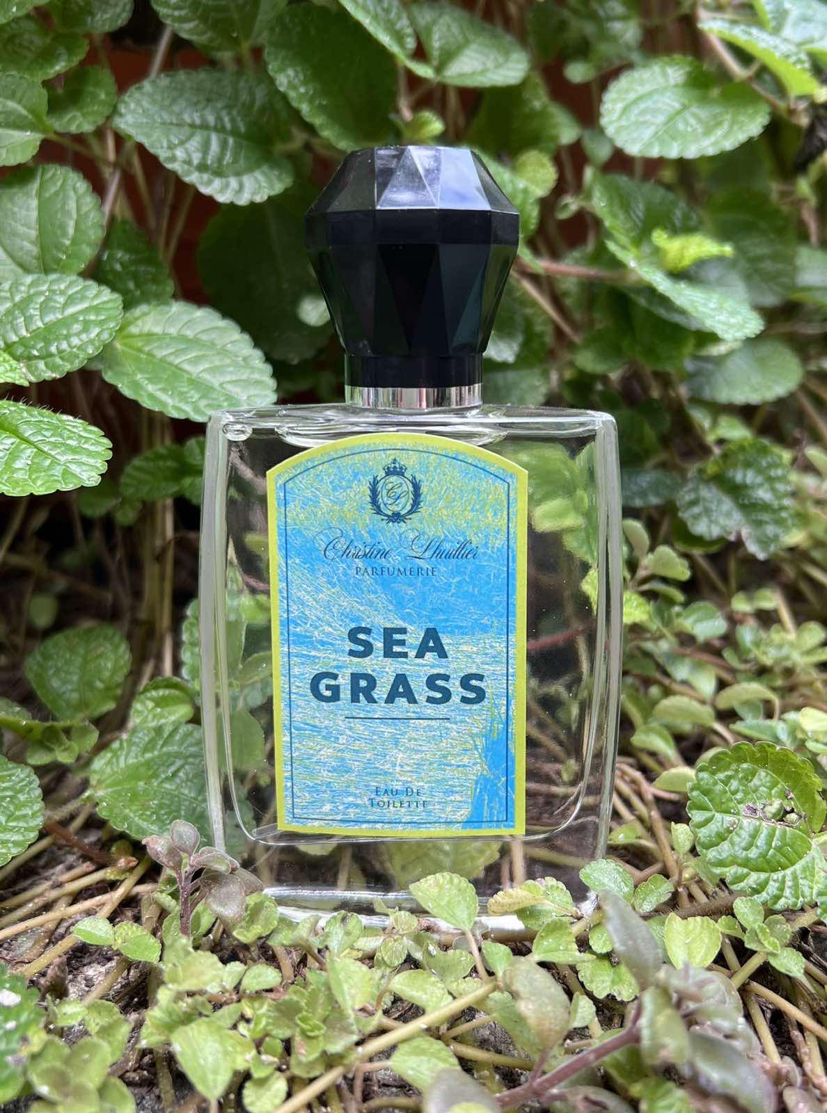 Eau de Toilette Sea Grass
