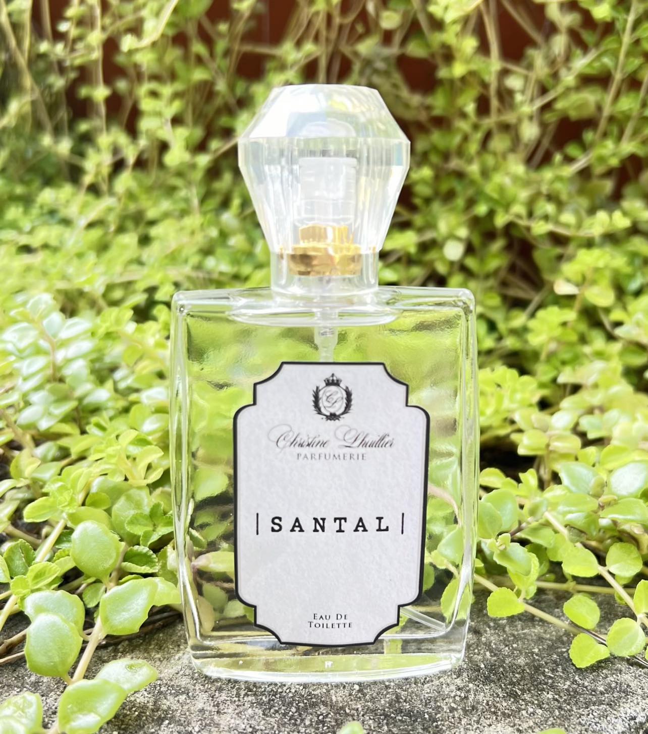 Santal (EDC/EDT) for Men & Women - Image 2