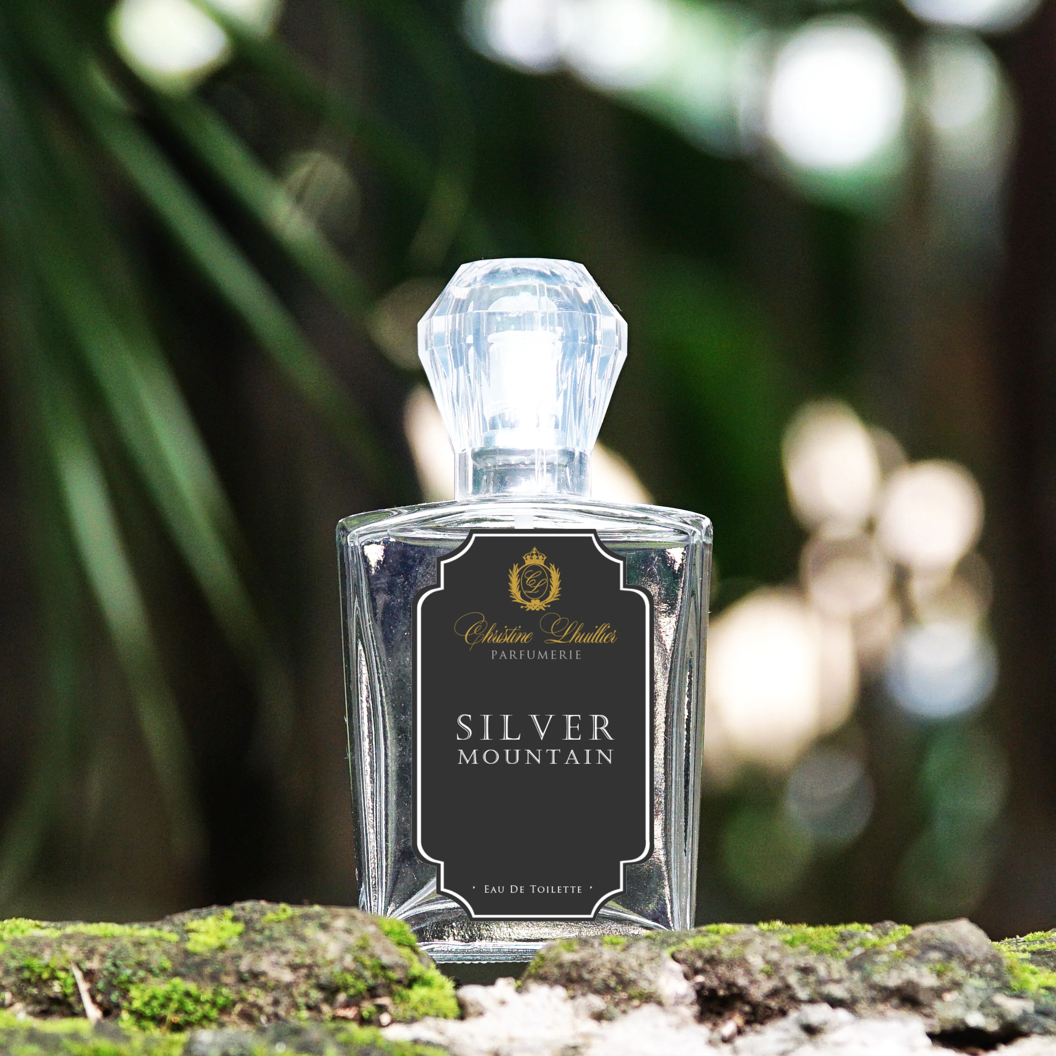 Eau de Toilette Silver Mountain