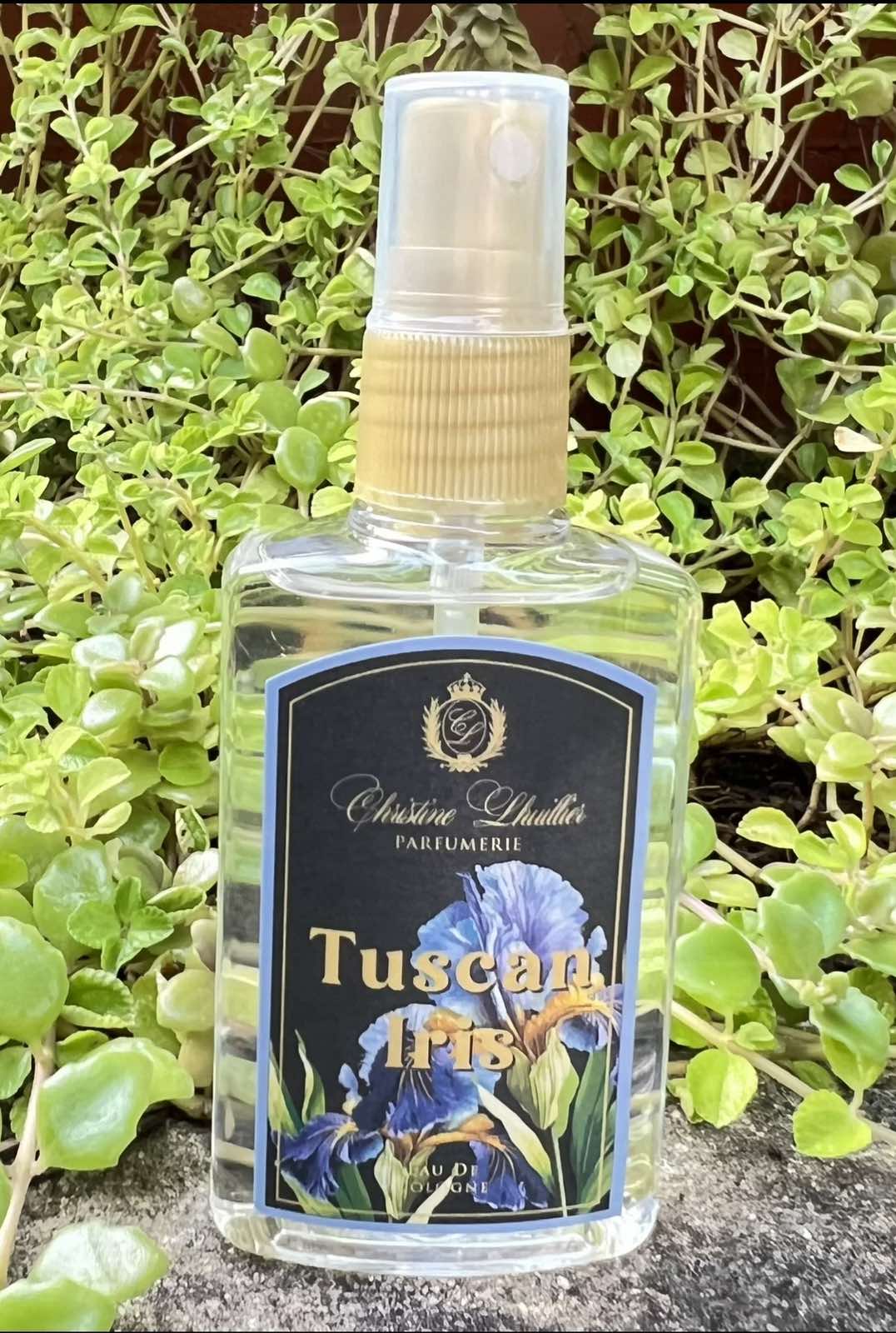 Tuscan Iris (EDC/EDT)