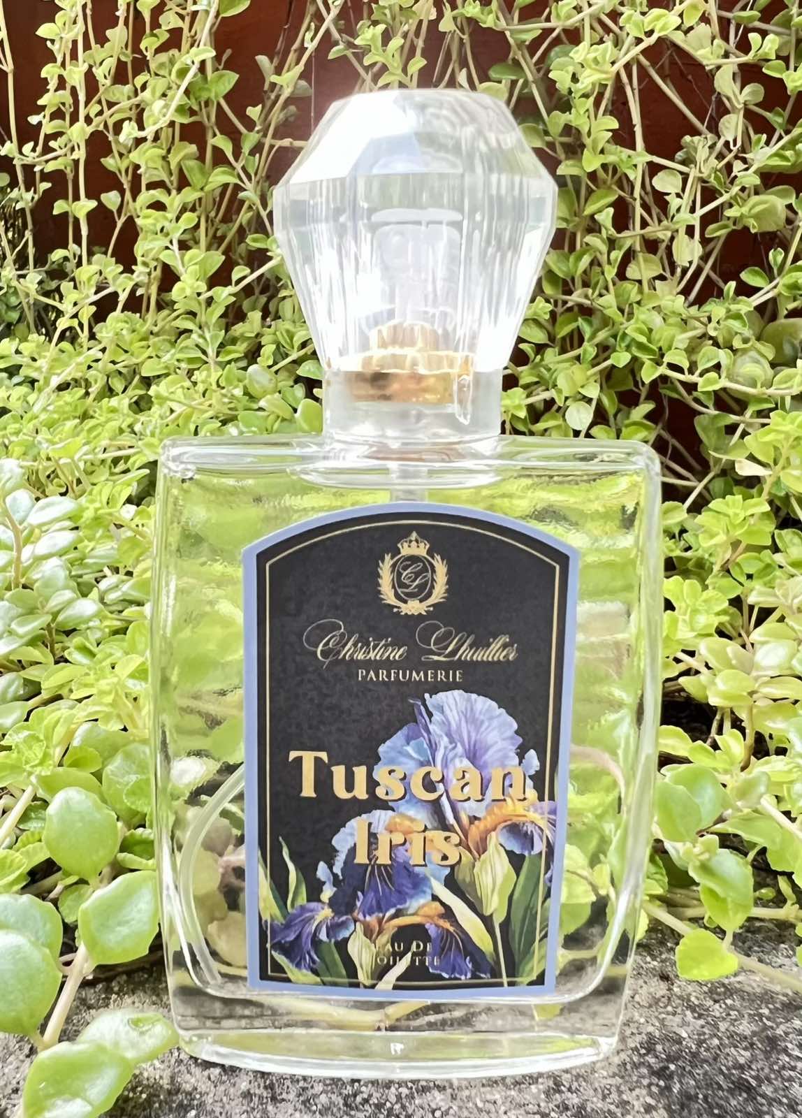 Tuscan Iris (EDC/EDT) - Image 2