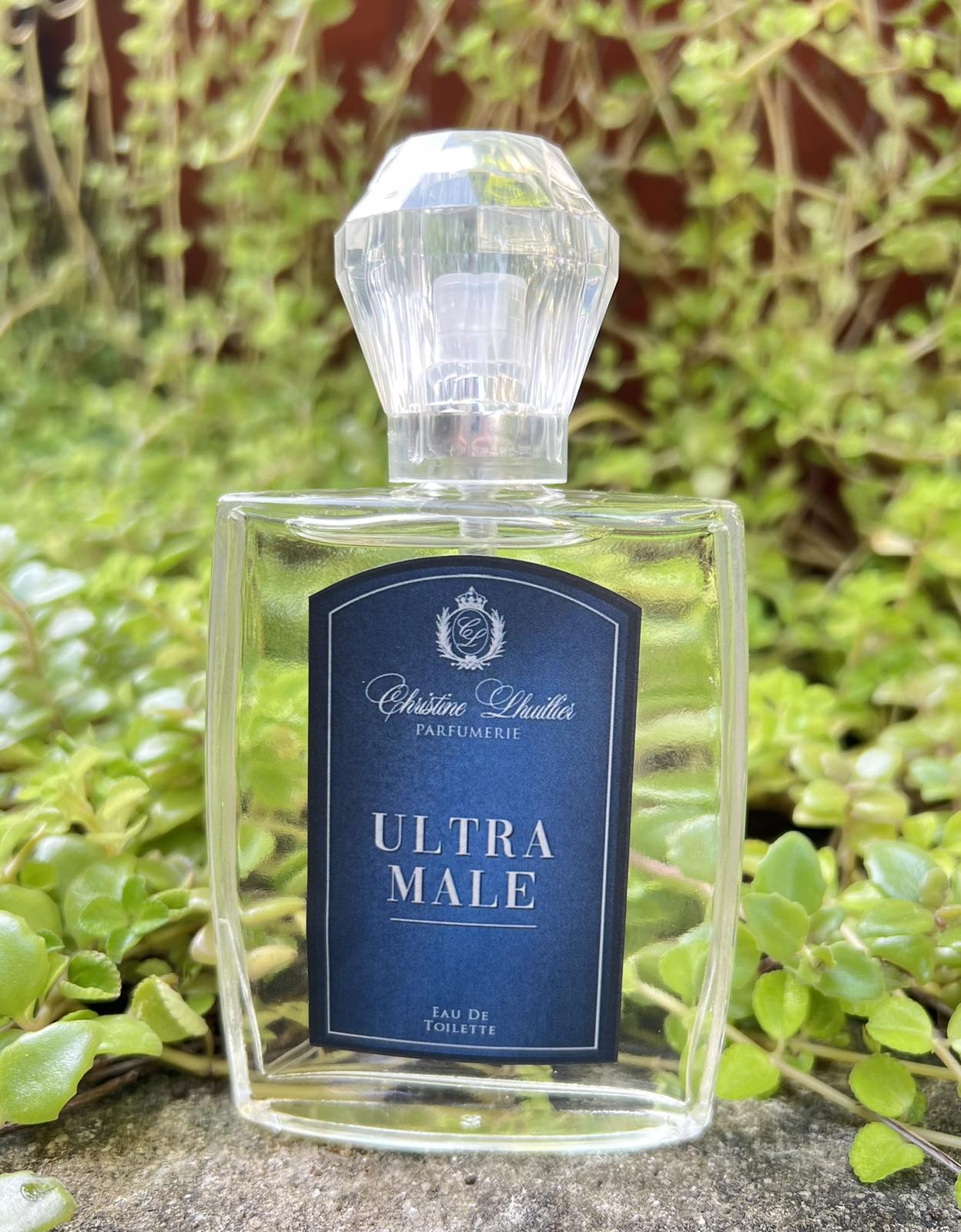 Ultra Male (EDC/EDT) - Image 2